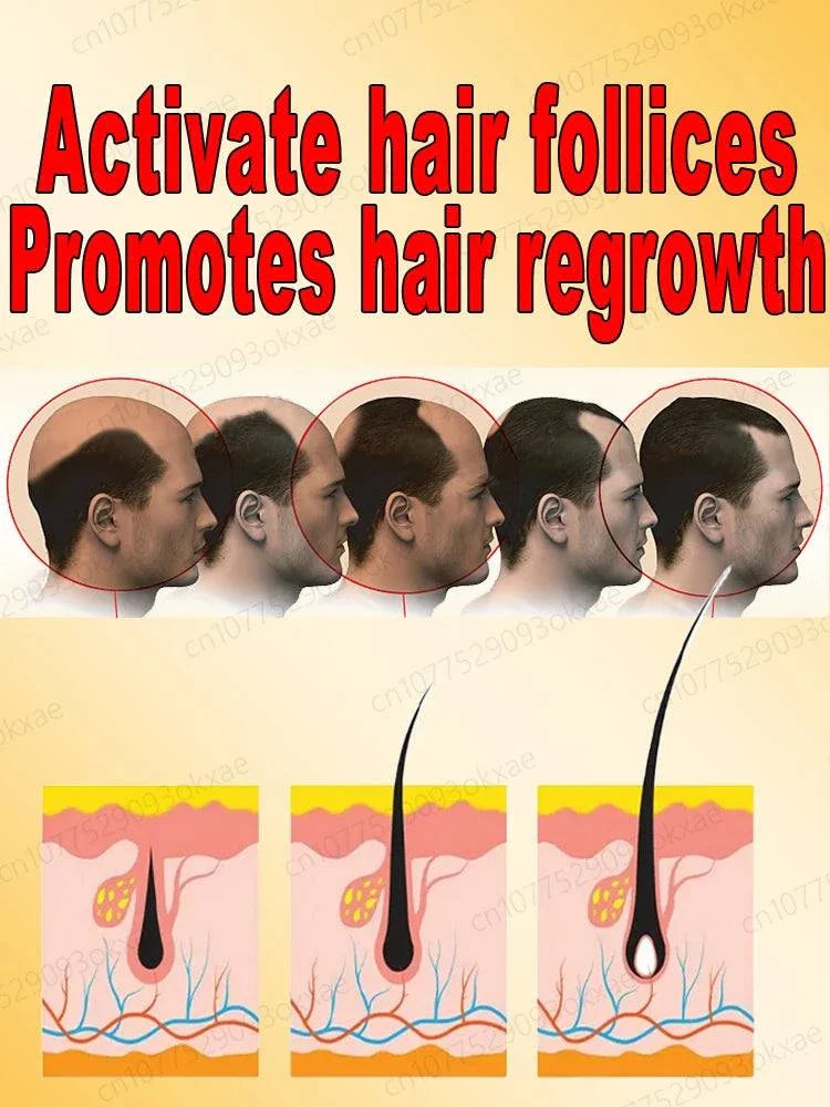 Diagram showing stages of hair follicle activation and hair regrowth for hair growth treatment product