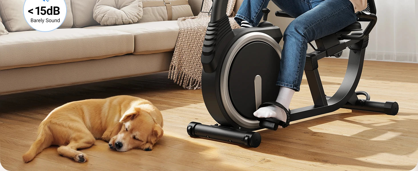 MERACH Recumbent Exercise Bike – High-End Home & Light Commercial Use