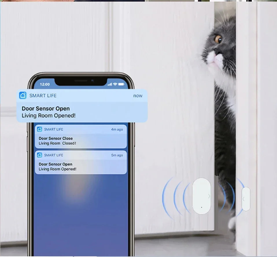 Door Window Sensor