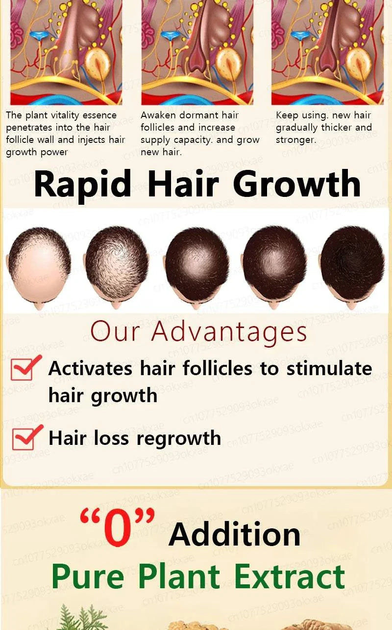 Hair Growth Treatment showing plant essence penetrating hair follicles, stimulating growth, and gradual thickening with pure plant extract for hair loss regrowth.