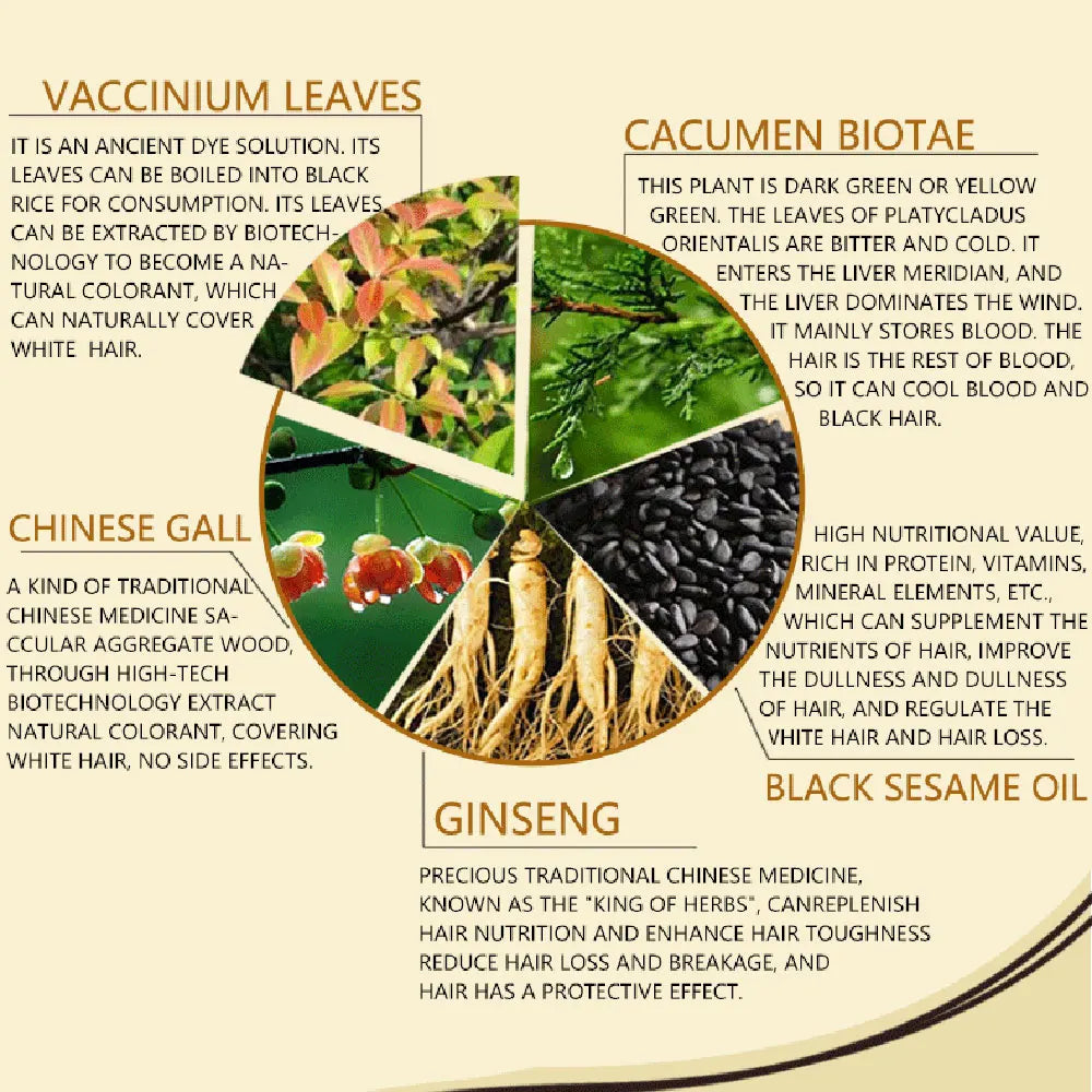 500ml organic permanent hair dye shampoo with natural plant-based ingredients, black sesame oil, ginseng, and vaccinium leaves for gray coverage and deep conditioning