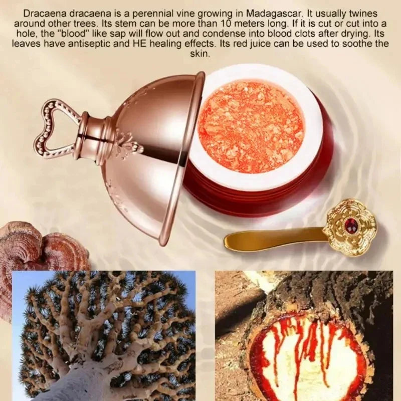 Dragon’s Blood Face Cream with retinol and placenta essence in a luxurious jar with gold spoon, highlighting natural antioxidant properties and Korean skincare benefits