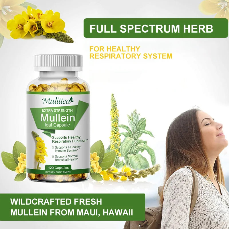 Natural Mullein Leaf Capsules