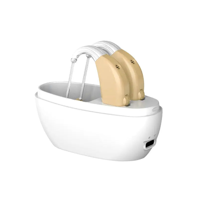 Hearing Aid Rechargeable Portable