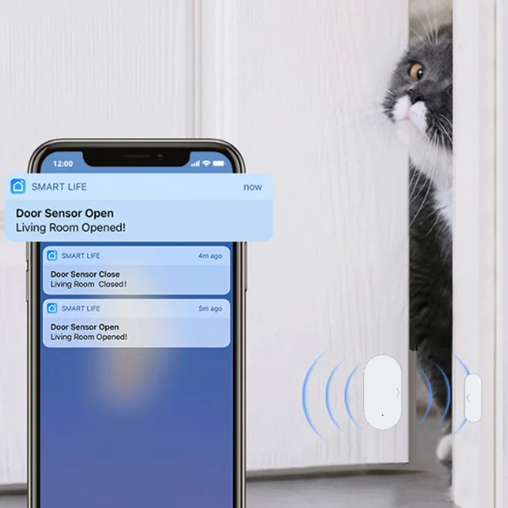 Door Window Sensor
