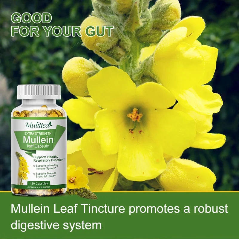 Natural Mullein Leaf Capsules