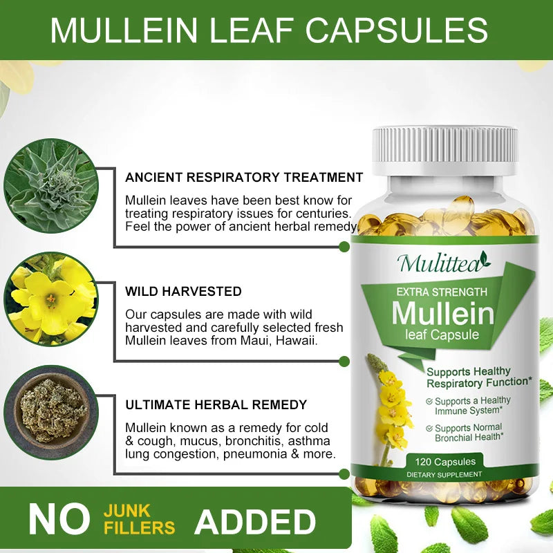 Natural Mullein Leaf Capsules