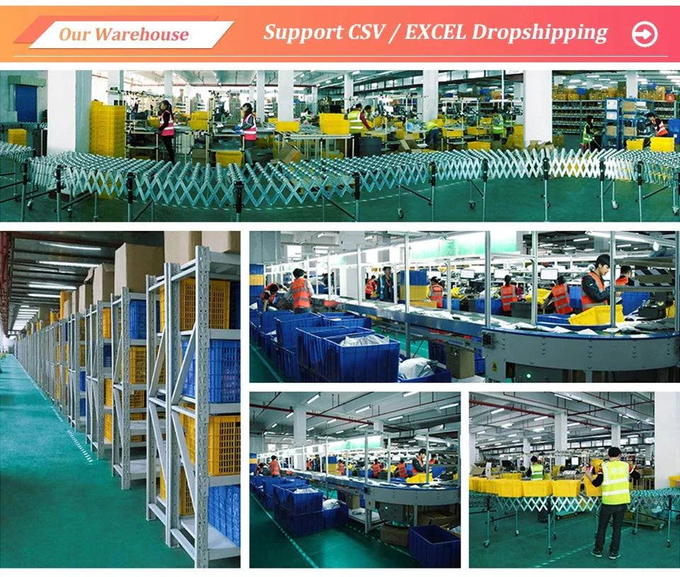 Warehouse interior with organized shelving, workers handling goods, and conveyor belts in an industrial dropshipping facility