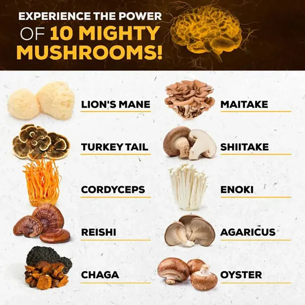 Various medicinal mushrooms including Lion's Mane, Turkey Tail, Cordyceps, Reishi, Maitake, Shiitake, Enoki, Agaricus, Chaga, and Oyster representing Mushroom Supplement 10x Complex for brain support and immune health.